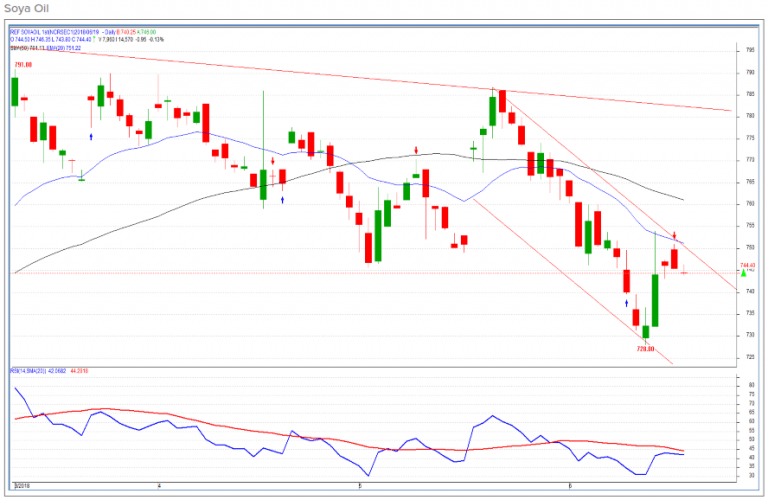 Ncdex Soya Oil Resume downtrend Shubhlaxmi Commodity