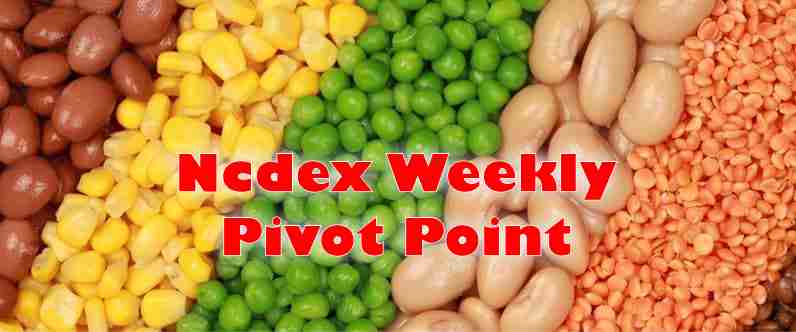 NCDEX Weekly Pivot Point